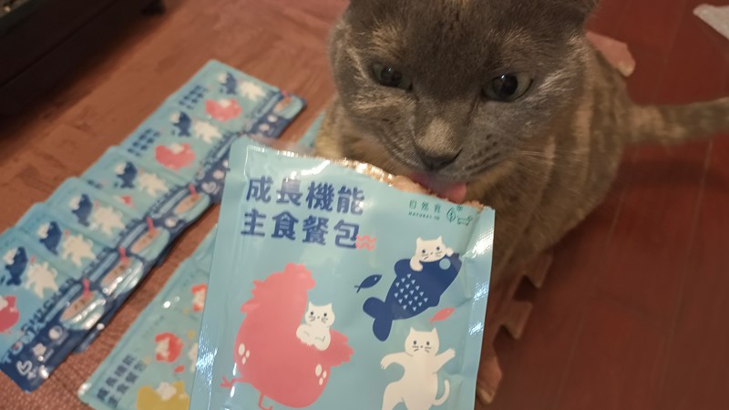 女人知己試用大隊,口碑行銷,部落客行銷,自然食 成長機能主食餐包,自然食,成長機能狗狗主食餐包,成長機能貓咪主食餐包,滿足毛孩最單純的幸福,人食等級食材,開封即食,綿密的肉泥狀質地,好吸收,無膠類,無色素,無防腐劑的添,維持腸道健康,添加DHA/靈芝多醣體,使用高優質蛋白,適口性佳,狗狗口味,犬用營養火雞,犬用嫩雞牛肉,貓咪口味,貓用營養嫩雞,貓用嫩雞鮪魚